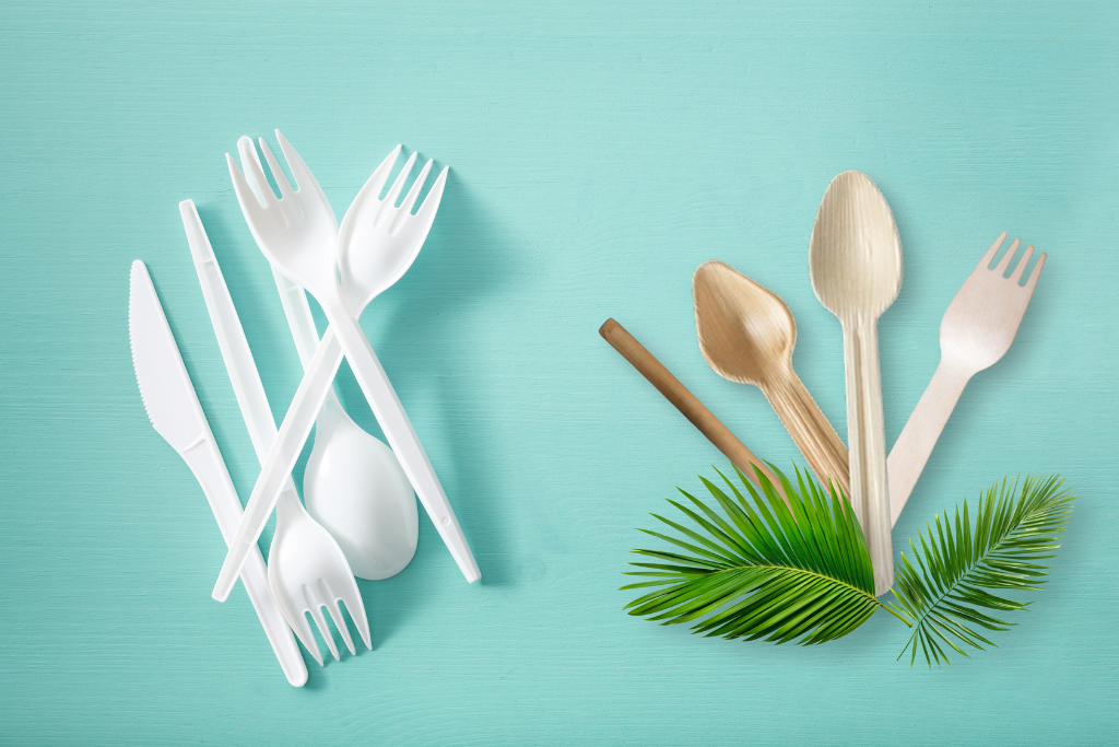 Tamul Plates: A Year-Round Commitment to a Plastic-Free Future
